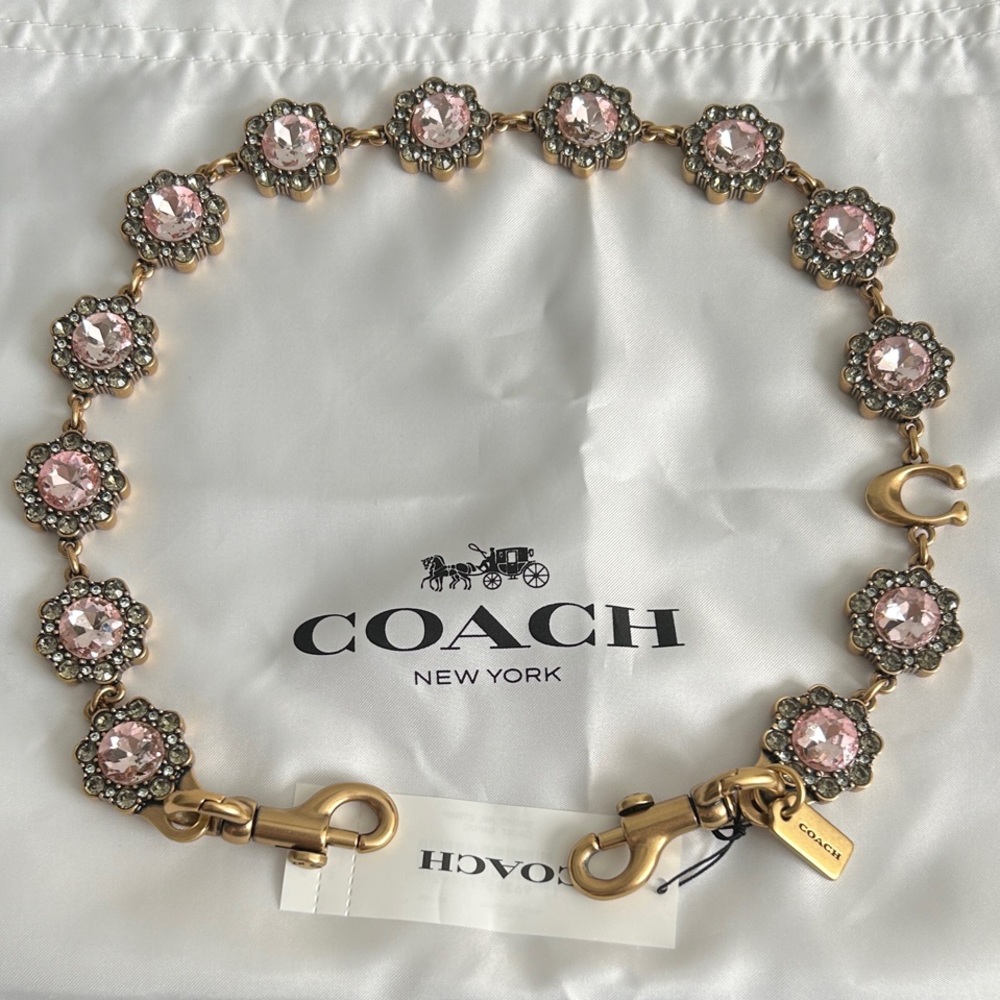 Coach Short Jewelry Chain Strap